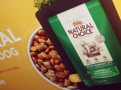 E-Commerce best blog cat color dog dry e commerce food meat shop web