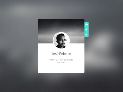 Profile Widget profile widget