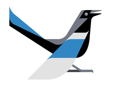 Eurasian Magpie WIP afwip art bird brill eurasian josh magpie wip