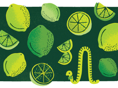 Some limes green limes living together in harmony worms