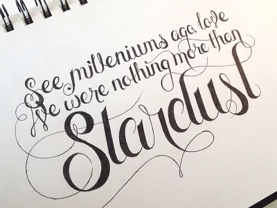 Past Lives hand drawn hand lettering lettering lyrics script type typography