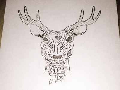 Deer deer flower head lines sketch