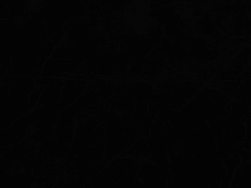 Scottpilgrim comic music rock scottpilgrim sexbobomb