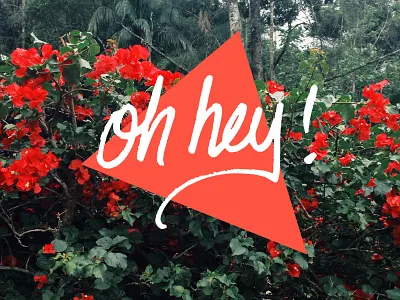 Oh Hey! hand drawn type hand lettered hand lettering lettering typography