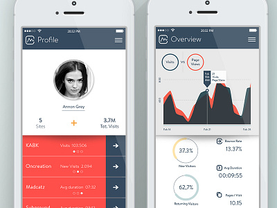 Soft Analytics analytics graph profile ui ux webanalytics