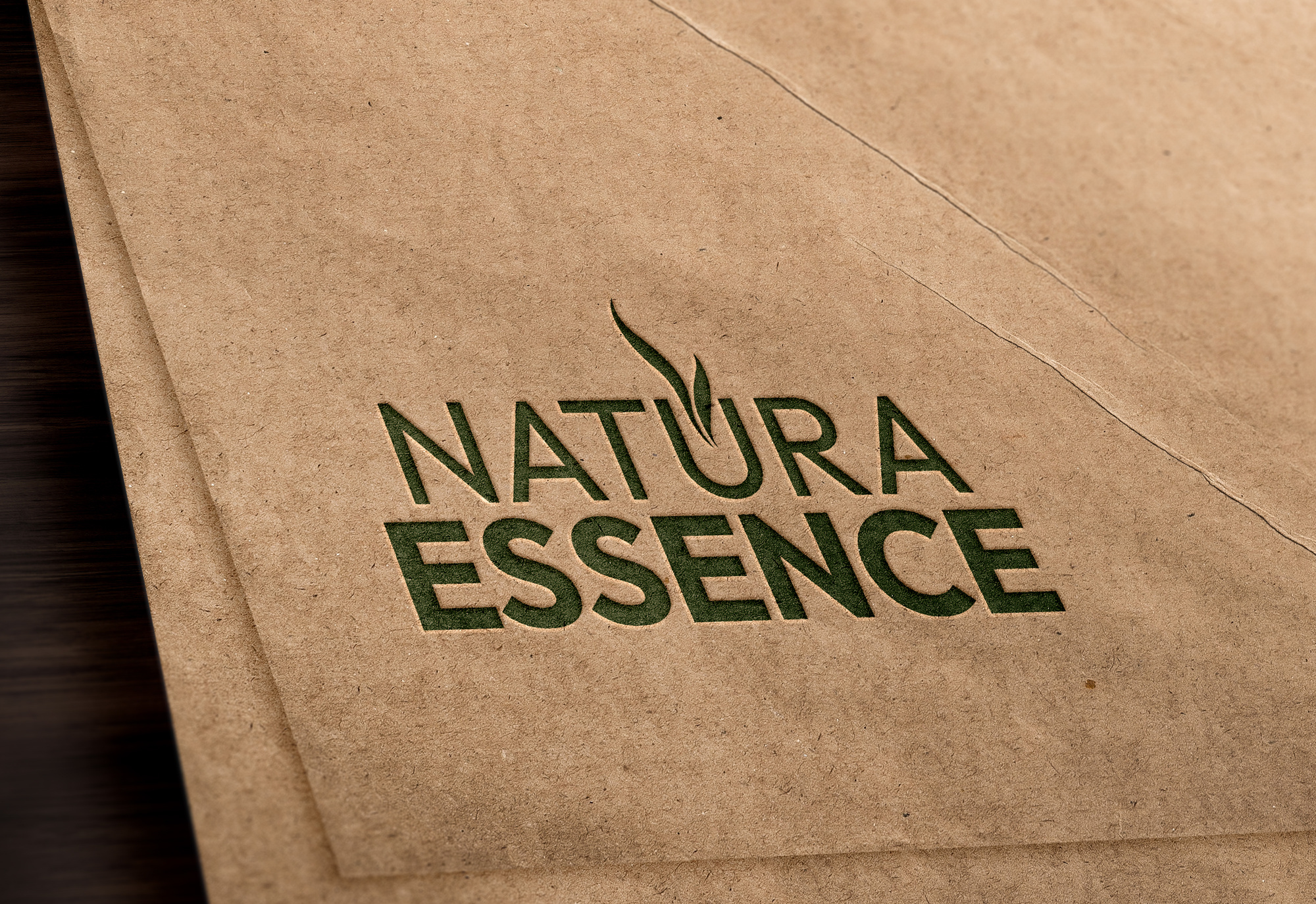 Example of Logo Design, Logo Designer, Branding 