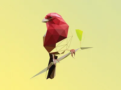 Vermei Poly Bird Logo bird delaunay geometric lowpoly polygon red triangulation vermei