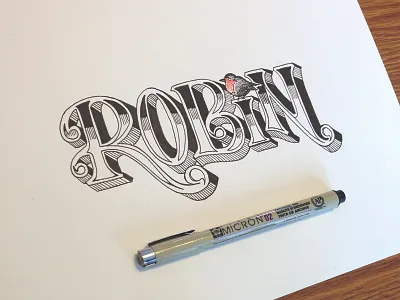 Robin hand drawn illustration lettering type typography vintage