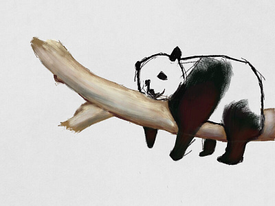 Panda drawing illustration panda