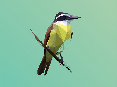 Poly Kiskadee bem te vi bemtevi bird great kiskadee kiskadee lowpoly poly polygon