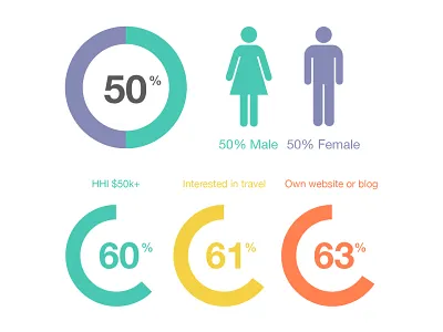 Audience Infographic chart clean data graph infographic simple visualisation