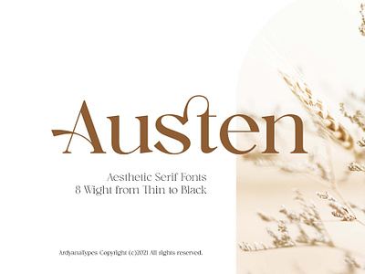 Austen - Aesthetic Serif Font