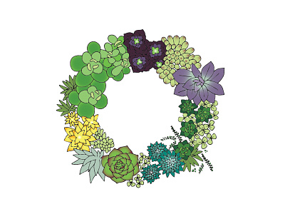 Succulent wreath circle green illustration plant succulent wreath
