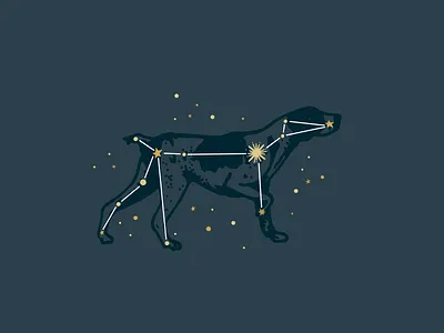 Canis Major Constellation canis major constellation logo stars