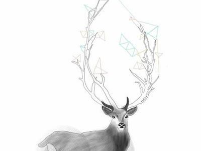 Deer antlers deer design drawing geometric illustration