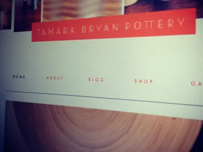 Tamara Bryan Pottery pottery website