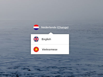 Language Switcher choose english language option