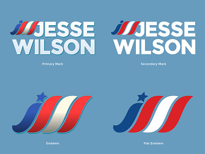 Jesse Wilson 2015 Campaign Branding branding logo