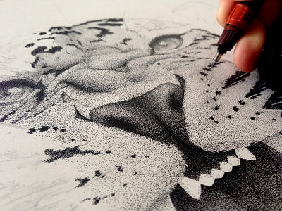 Leopard, work in progress animal black dots drawing illustration leopard stippling