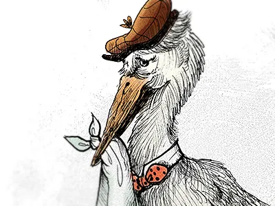 Stork Close-up baby bird illustration ink stork watercolor