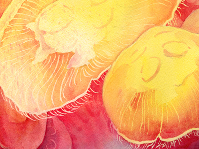 Day 5 of the Easy and Hard challenge: Moon Jellies challenge jellyfish watercolor