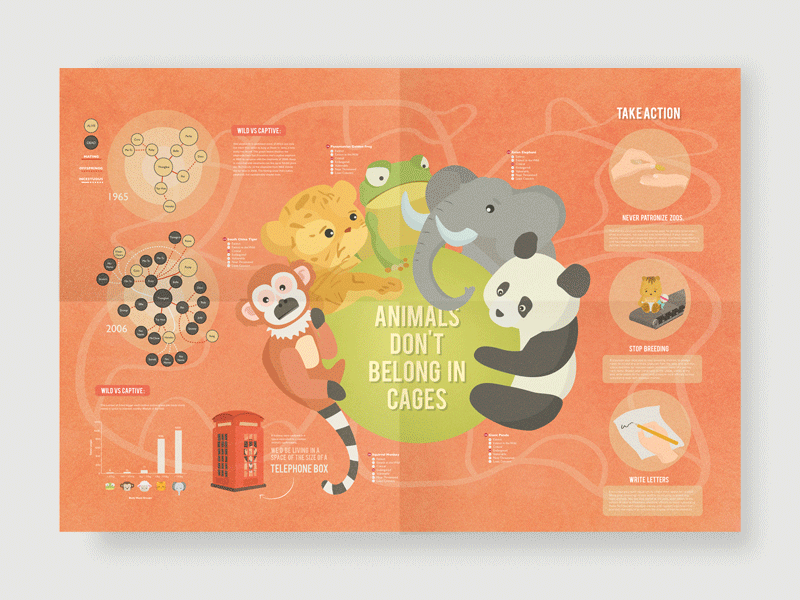 Animal Life Sentence Infographic animal diagram flat gif graph icon illustration infographic texture vector visualization