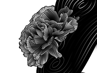 Bounty hunters (close-up) black and white carnation digital illustration flowers