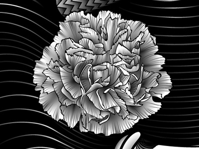 Bounty hunters (close-up) black and white carnation digital illustration flowers