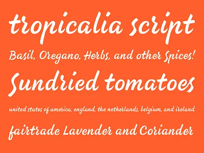 Spice Shop Project Script brush pen script shop spice spicy type typeface typography