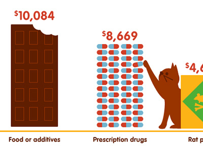 pet poisons illustration infographic pet