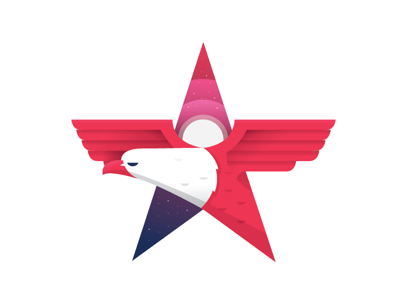 MERICA! america eagle illustration logo mark