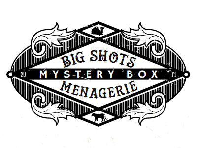 Big Shots big brothers big sisters brand event fundraiser logo menagerie