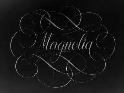 Magnolia curves hand lettering lettering logo logotype magnolia sketch type typography