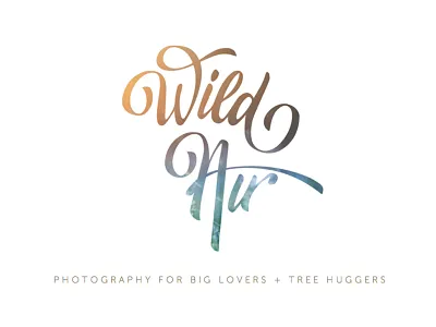 Wild Air Photography branding design logo photographer photography typography