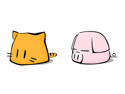 i animal cat pig