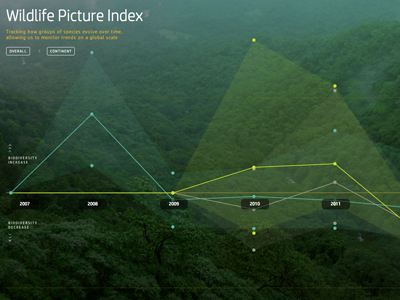 Earth Insights data visualization ui