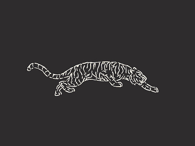They called me Tiger Claw back in high school... black lines rawr tiger white