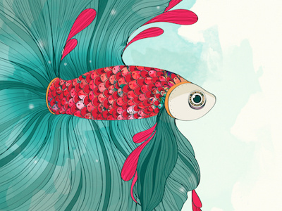 Siamese Fighting Fish fish illustration lines pen pez sea sketch texture turquoise watercolor