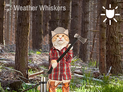 Lumberjack Cat cat cats in clothes lol cat lumberjack sun weather