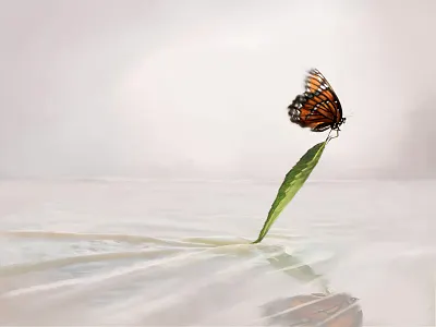 Beauty of a Still Motion animation art concept design illustration painting sculpture society of illustrators