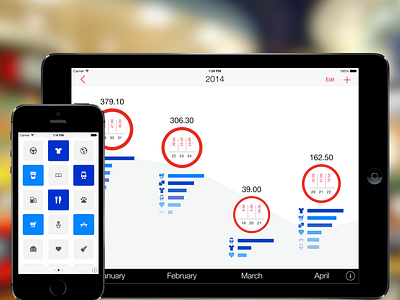 Next for iPad expenses finances ios ipad iphone next ui