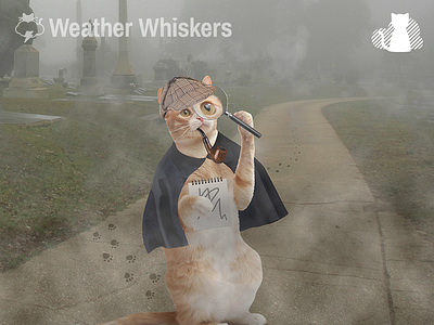 Cleerly Iz Fog animals app cat cats in clothes design lol cat weather