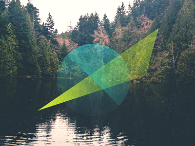 Trees abstract circle clean lake nature shapes simple