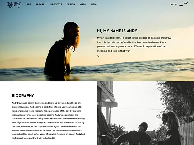 Hi, My Name Is Andy art design ecommerce surf website