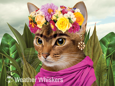 Frida Katlo cats cats in art frida kahlo lol cats weather weather cats weather whiskers