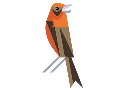 Scottish Crossbill WIP afwip art bird brill crossbill josh scottish wip