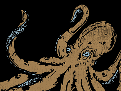 Example of Octopus final, I guess?