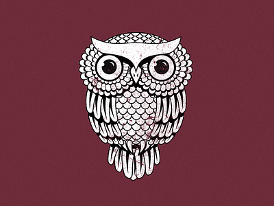 Owl illustration owl
