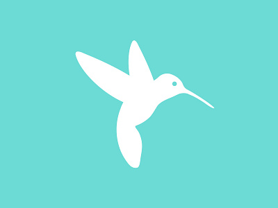 Hummingbird Icon beauty design hummingbird icon illustration logo