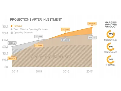 Biz Plan - Investment Projections